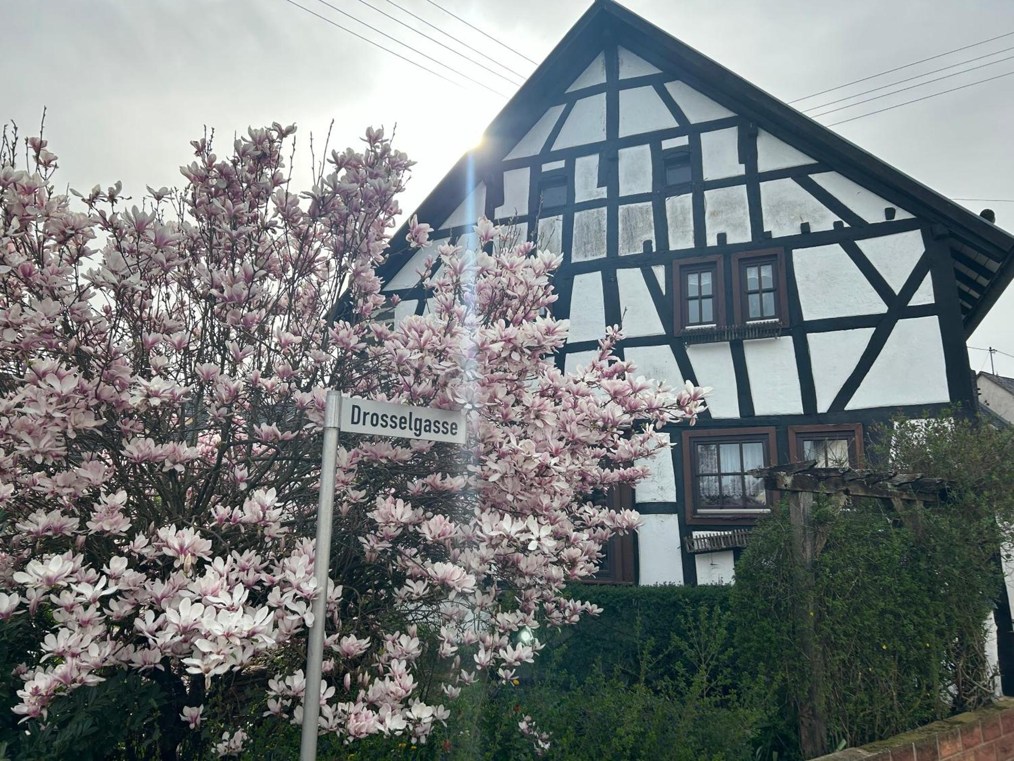 Das Pautzen Haus Daun Exterior foto