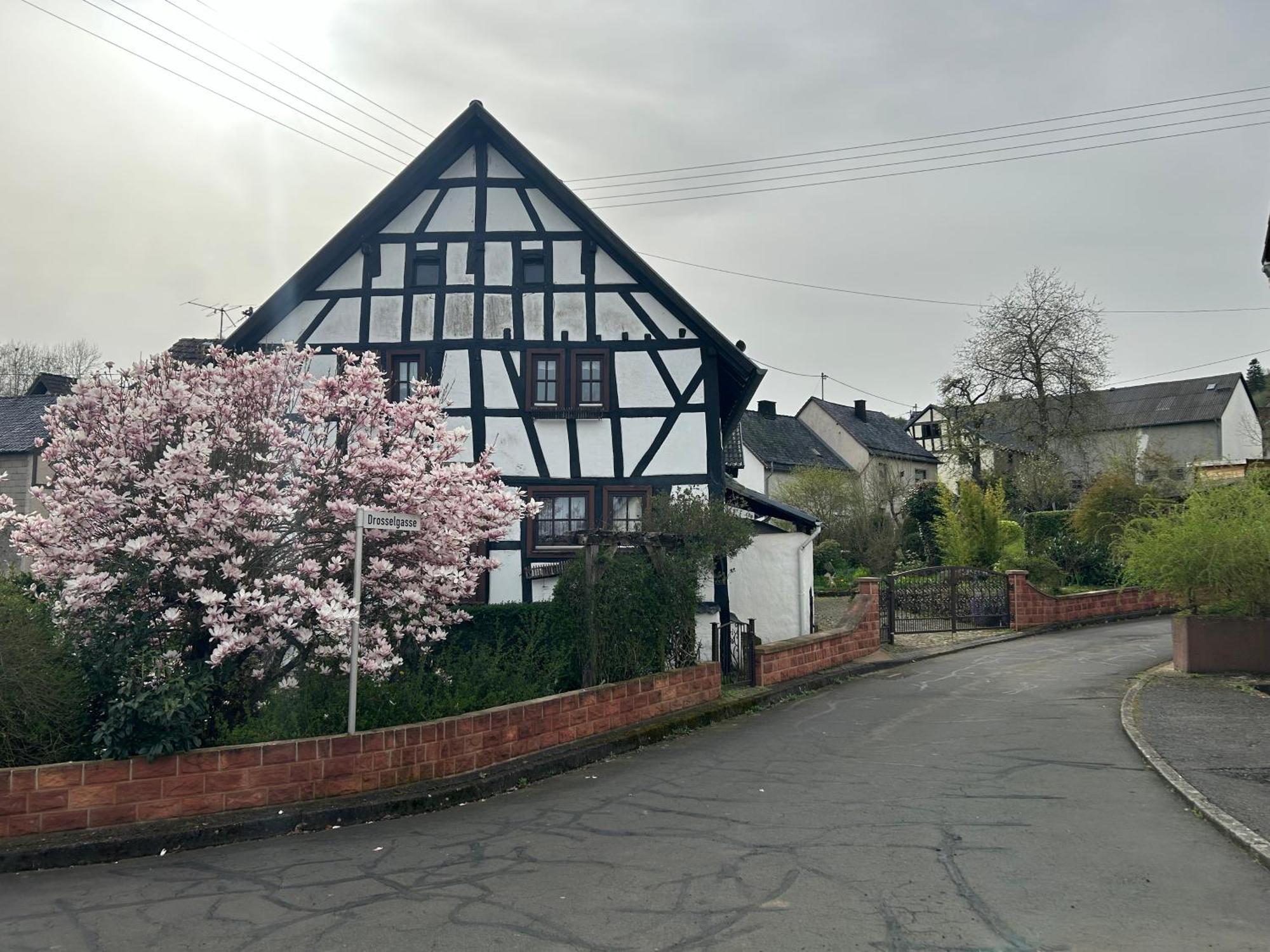 Das Pautzen Haus Daun Exterior foto