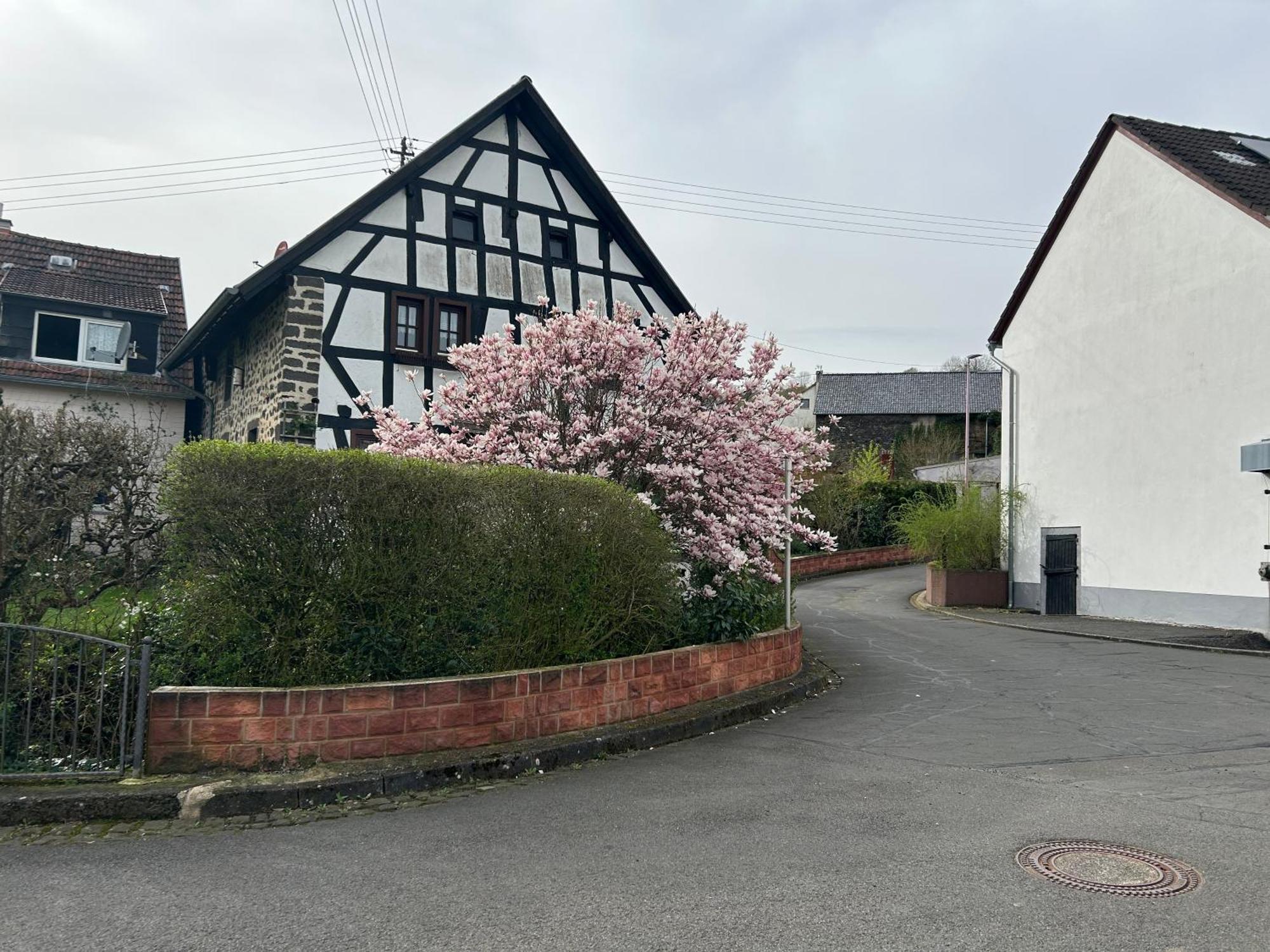 Das Pautzen Haus Daun Exterior foto